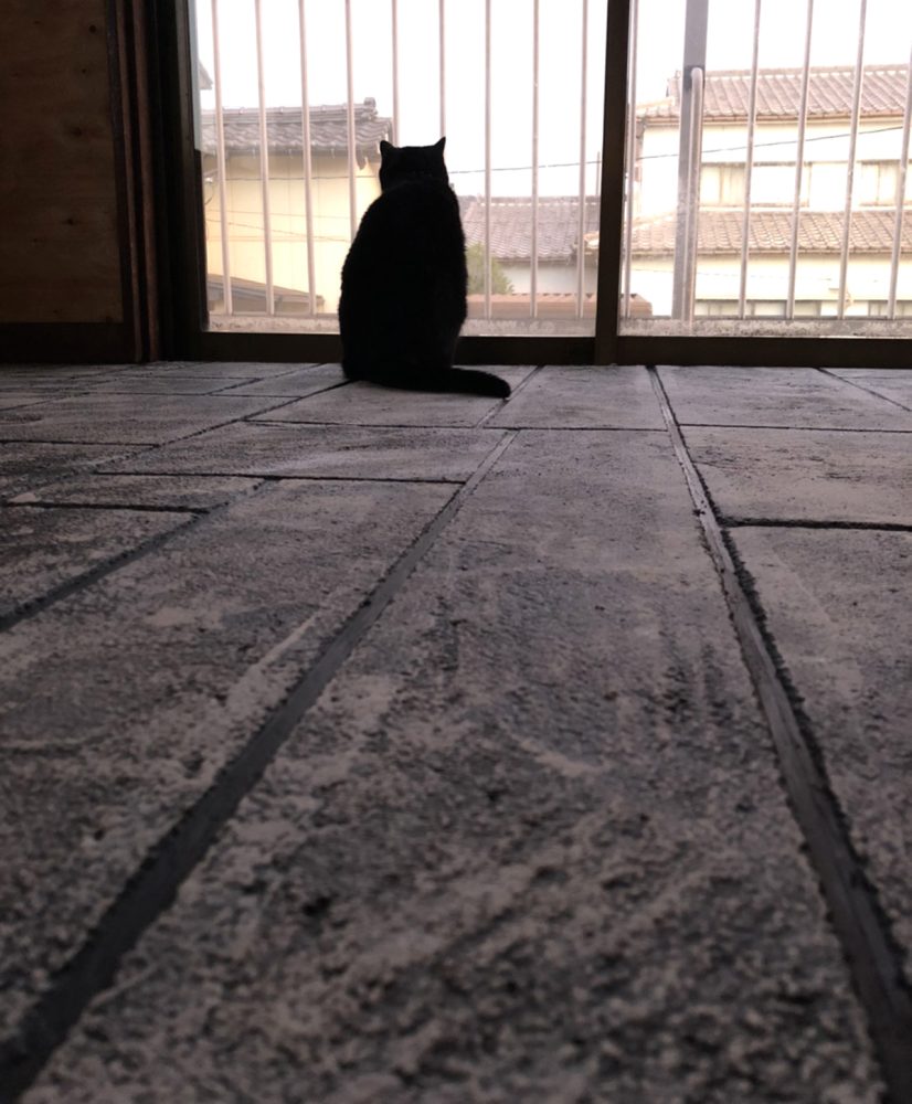 富山県 FLAT PINE イメージ4