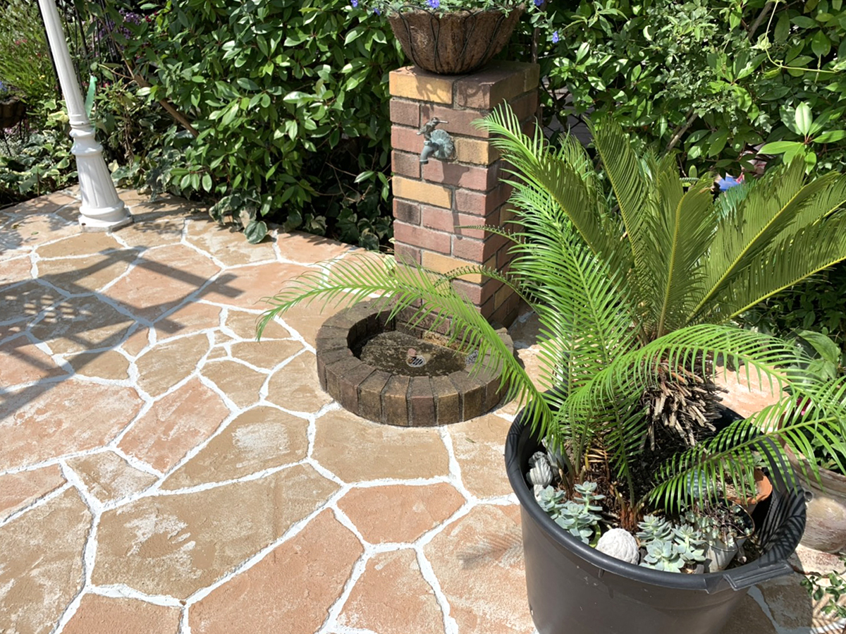 富山県 FLAT PINE イメージ5