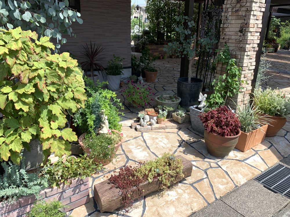 富山県 FLAT PINE イメージ6