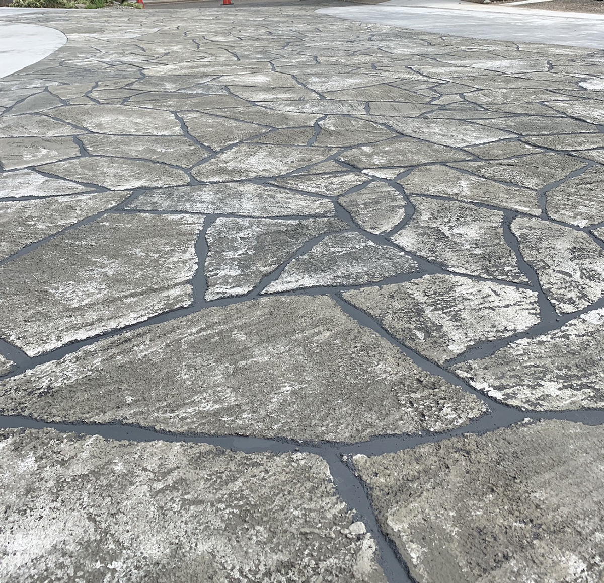 富山県 FLAT PINE イメージ6