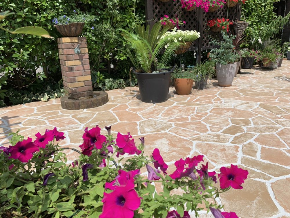 富山県 FLAT PINE イメージ7