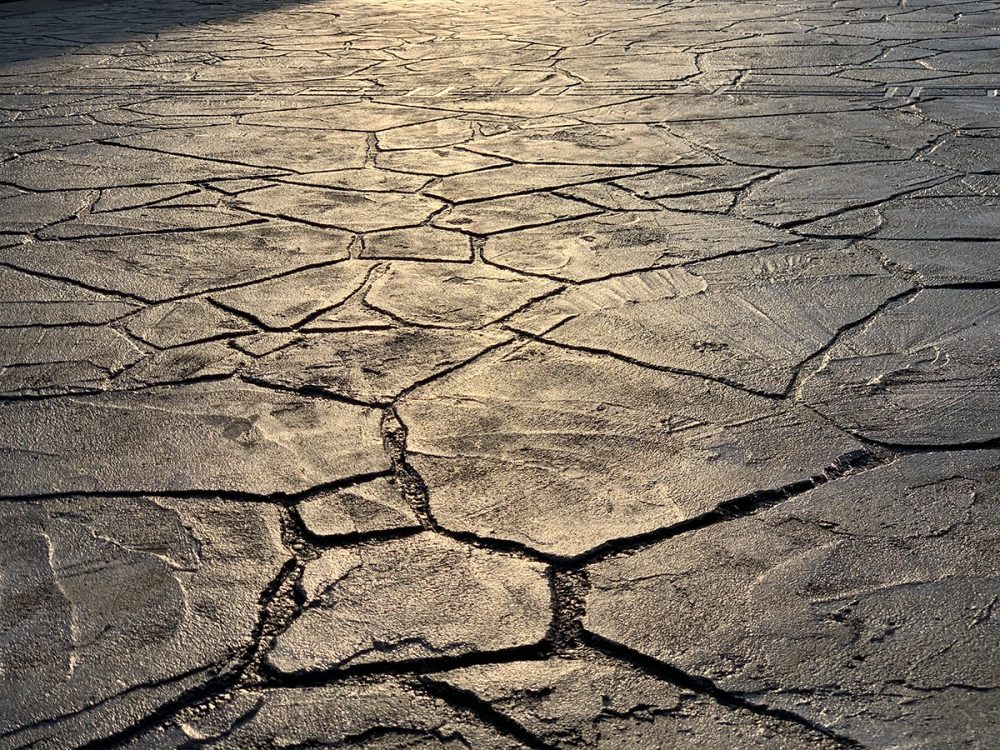 千葉県 株式会社ガーデンホームズ イメージ7