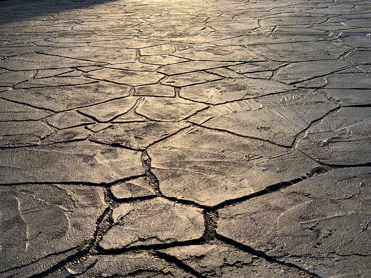 千葉県 株式会社ガーデンホームズ イメージ7