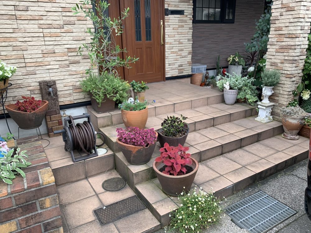 富山県 FLAT PINE イメージ1