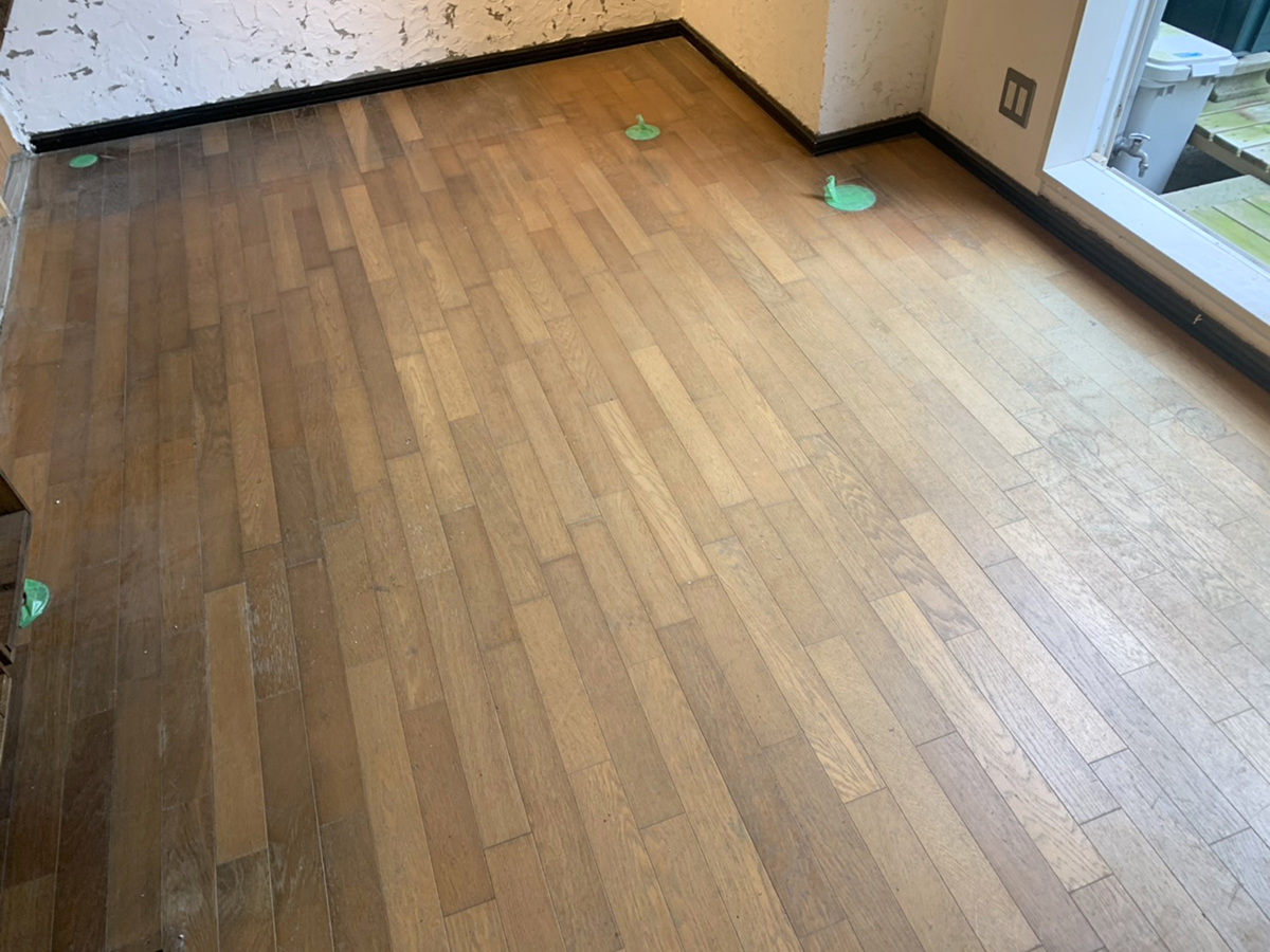 富山県 FLAT PINE イメージ1