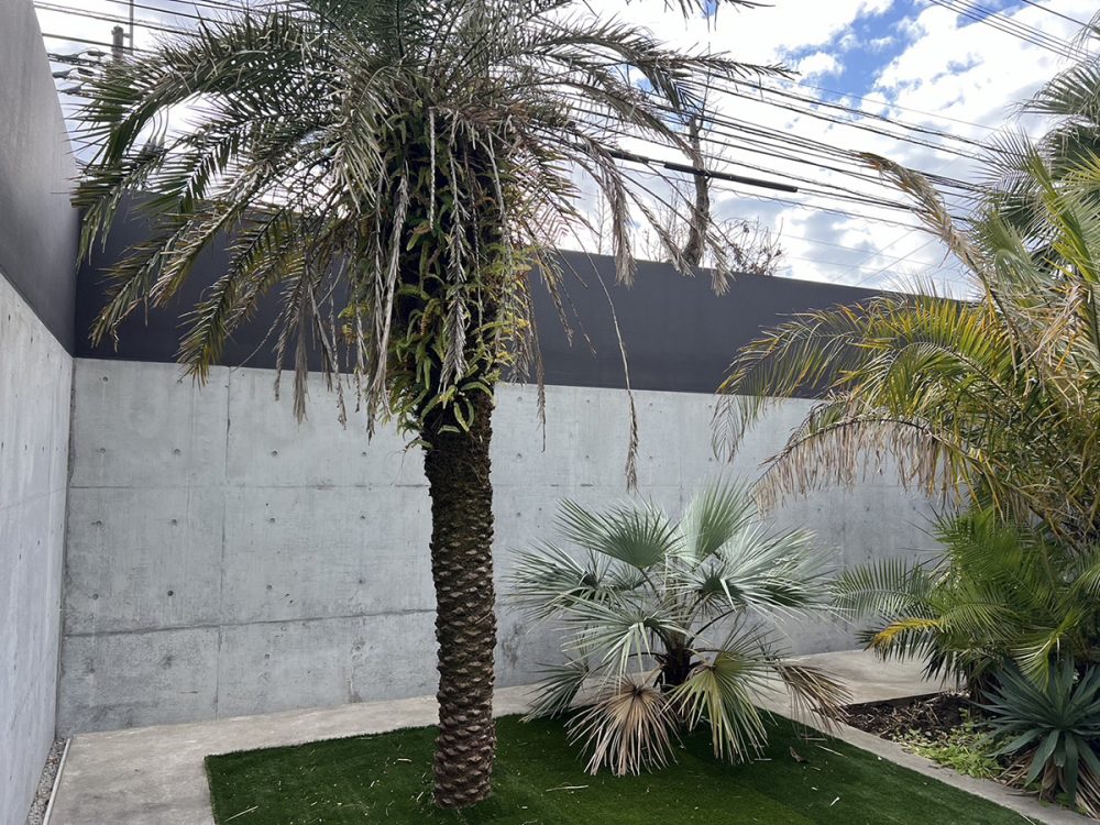 鹿児島県 株式会社 蒼天産業 イメージ3