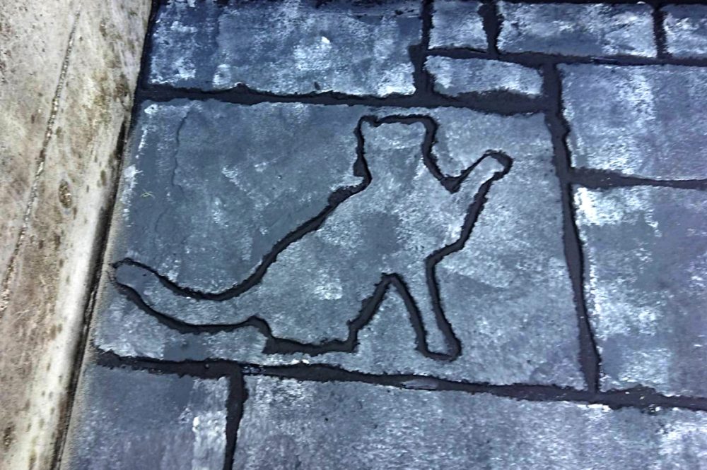 滋賀県 株式会社 コーキ イメージ4