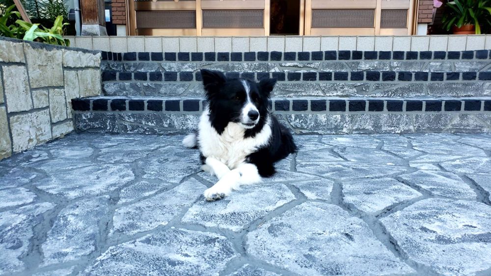 富山県 FLAT PINE イメージ6