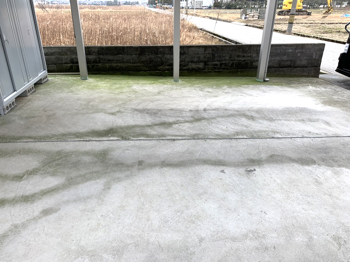 富山県 FLAT PINE イメージ3