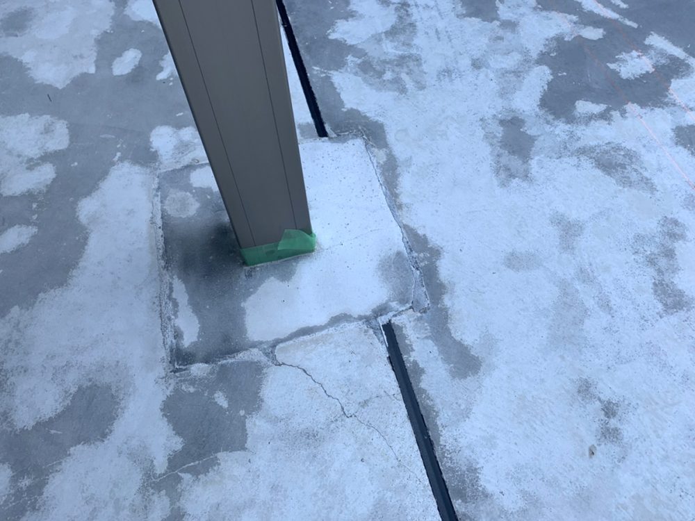 富山県 FLAT PINE イメージ3