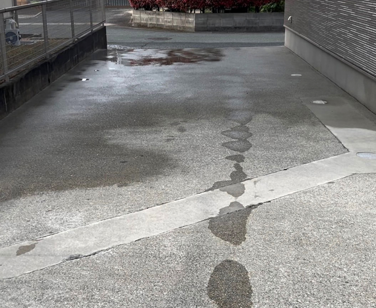 熊本県 NONコーポレーション株式会社 イメージ1