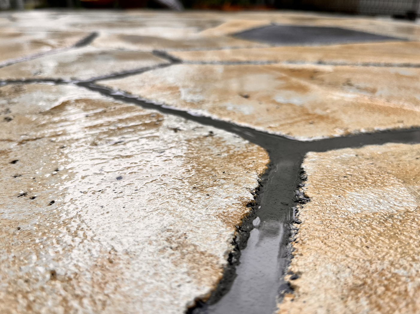 東京都 株式会社 武将 イメージ5