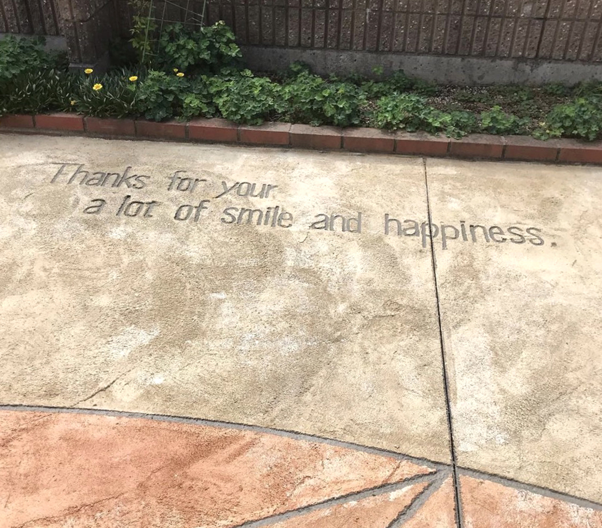 富山県 FLAT PINE イメージ5