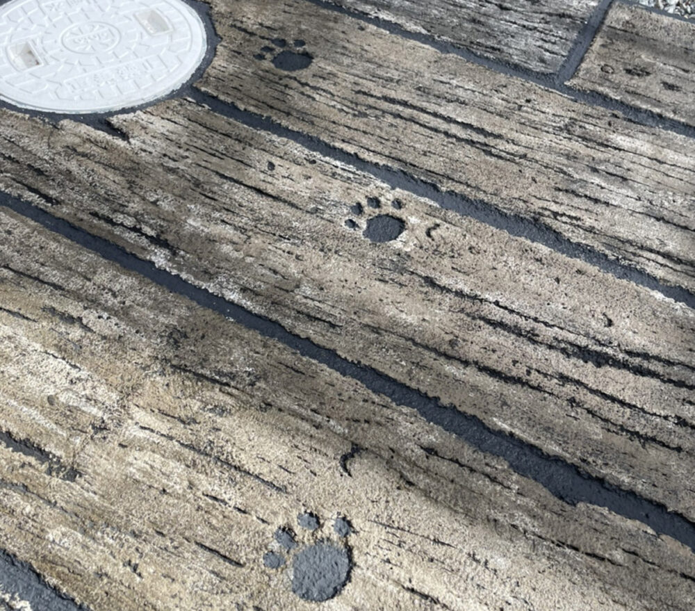 兵庫県 GARDEX関西 イメージ5