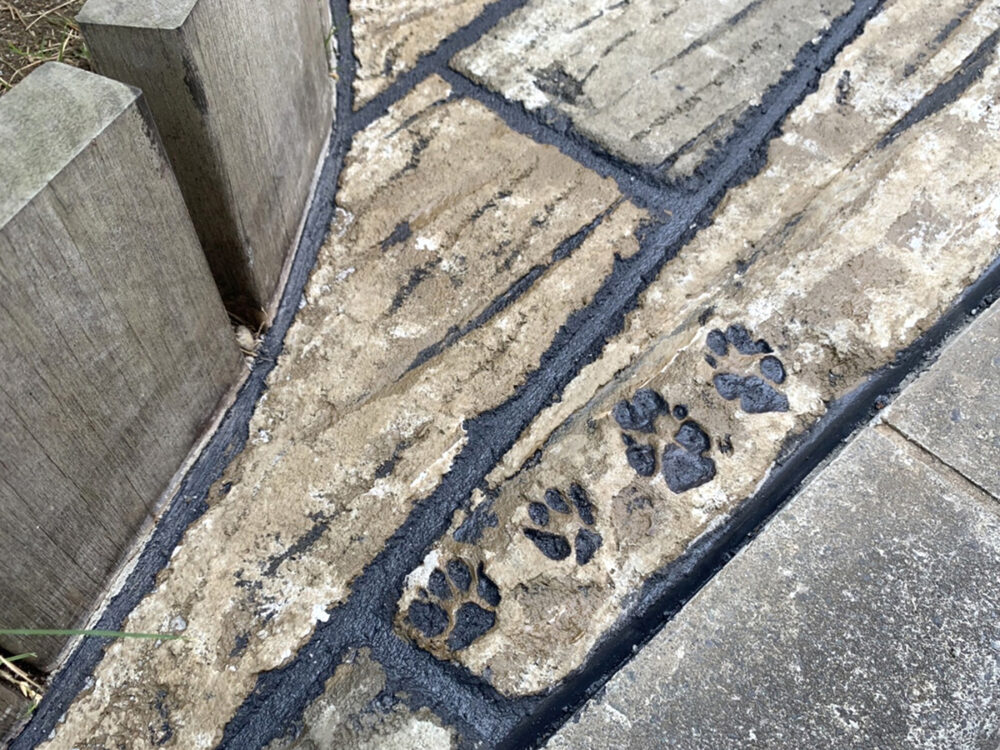 神奈川県 株式会社 琴美建設 イメージ5