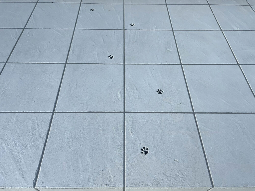 茨城県 モルテック株式会社 イメージ7