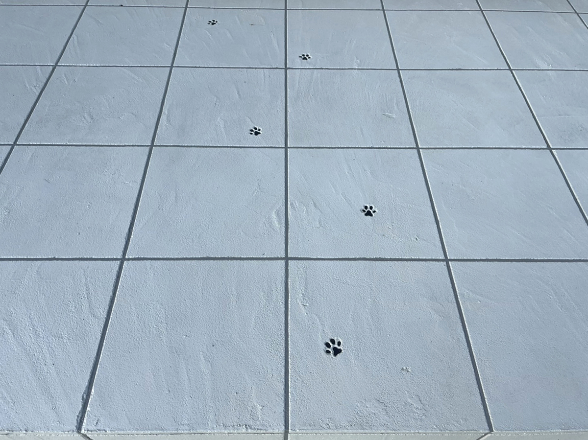 茨城県 モルテック株式会社 イメージ7