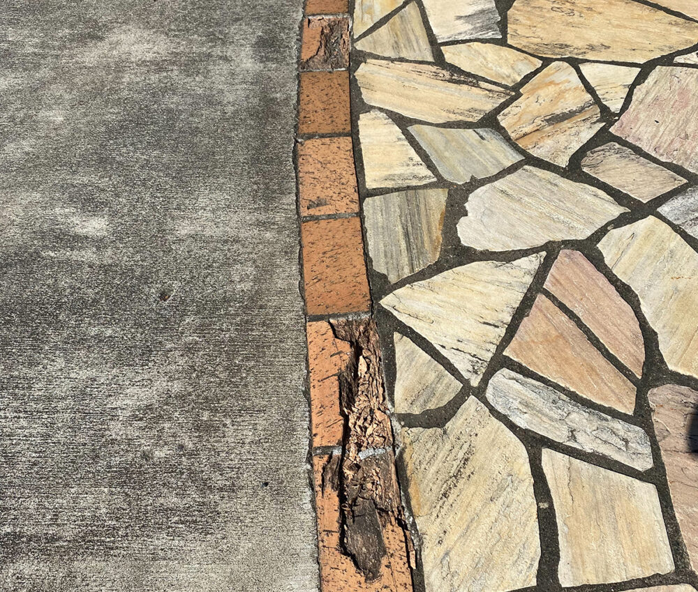 青森県 高奥フロアー イメージ3