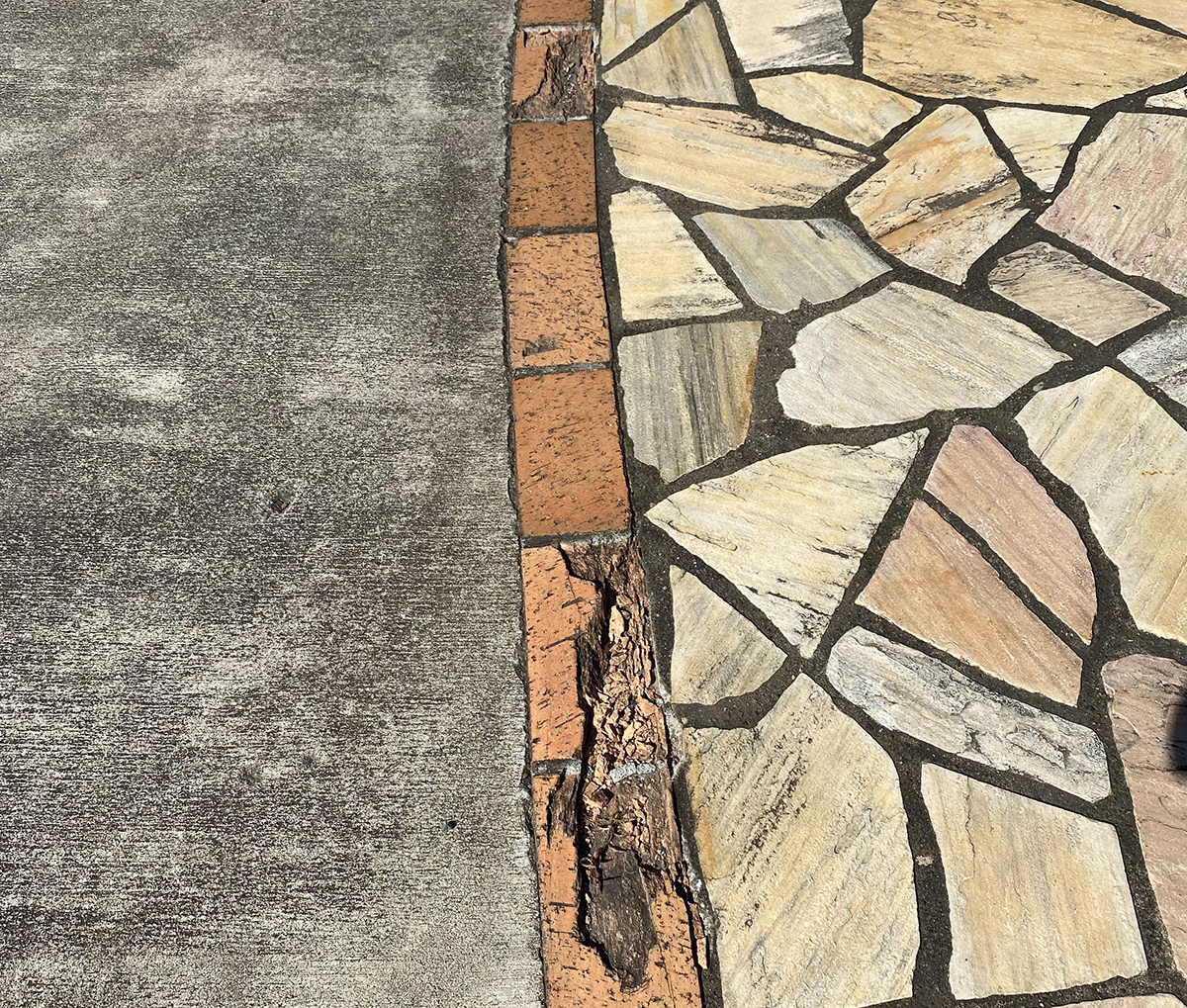 青森県 高奥フロアー イメージ3