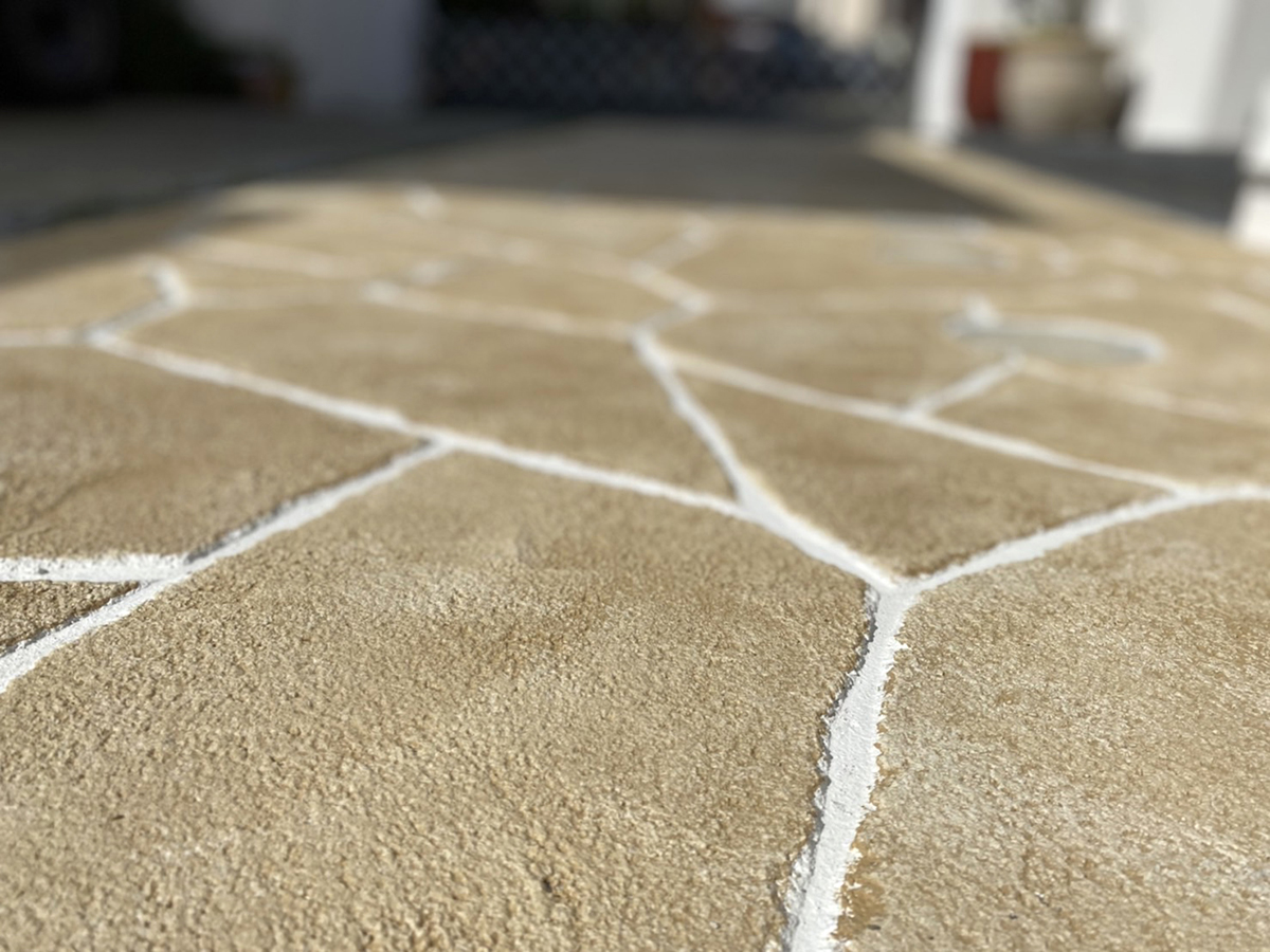 熊本県 NONコーポレーション株式会社 イメージ3