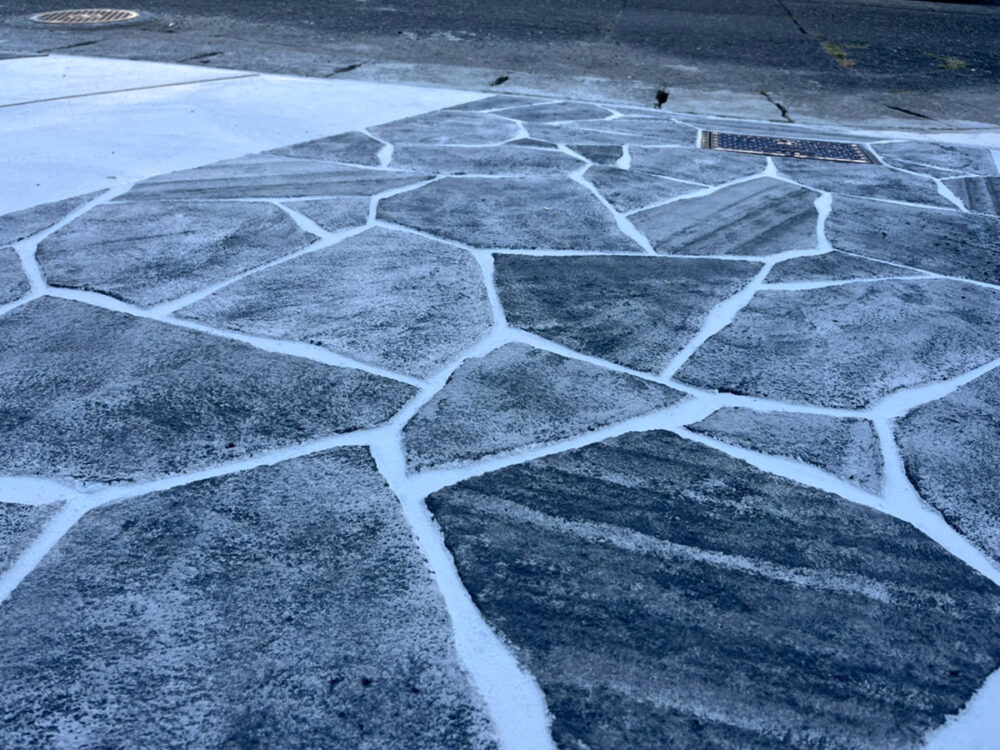 熊本県 NONコーポレーション株式会社 イメージ4