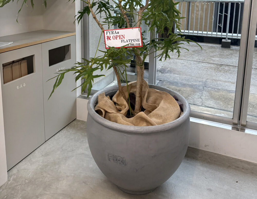 富山県 FLAT PINE イメージ2