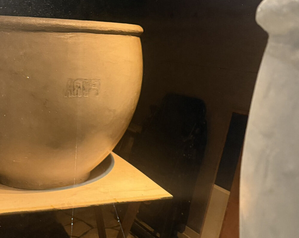 富山県 FLAT PINE イメージ7